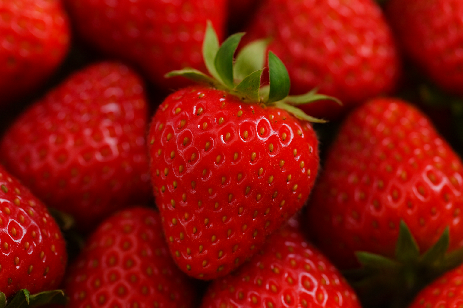 Fresh Food Image